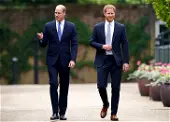 Spare: I was born to donate organs, blood to William, Harry reveals