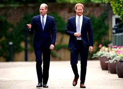 Spare: I was born to donate organs, blood to William, Harry reveals