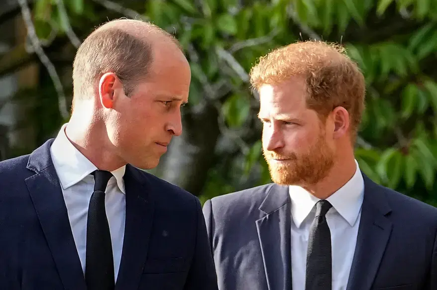 Prince Harry says his brother, Prince William physically attacked him