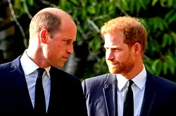 Prince Harry says his brother, Prince William physically attacked him
