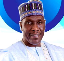 Borno Central: PDP has no candidate – APC Legal Team 