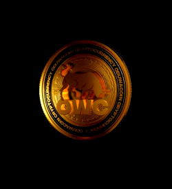 GlobalMax remit moves to solve remittance challenges in Africa with Oduwacoin