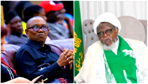 image 142 ‘That’s fake news,’ El-Zakzaky denies endorsing Peter Obi presidency 