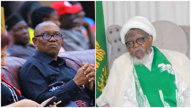 image 142 ‘That’s fake news,’ El-Zakzaky denies endorsing Peter Obi presidency 