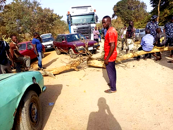More protests in Gboko, Obi LGAs over state of federal roads in Benue