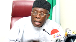 Nigeria suffering from SAP misadventure of 1986 —Audu Ogbe, ex-Agric Minister