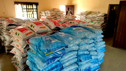 Flood: LIFE-ND, IFAD distribute farm inputs to Bayelsa farmers