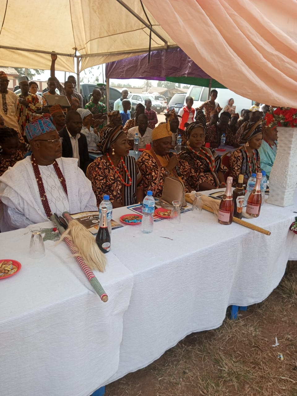 Lawmaker urges traditional rulers to preserve culture for younger ones