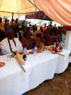 Lawmaker urges traditional rulers to preserve culture for younger ones
