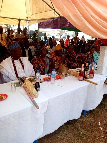 Lawmaker urges traditional rulers to preserve culture for younger ones