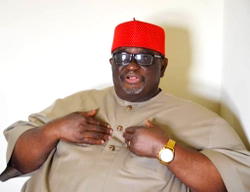 ICAN, ANAN need synergy to create global impact — ANAN president