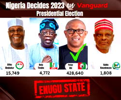 Obi wins Enugu with wide margin