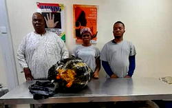 NDLEA arrests General Overseer, theology student in Lagos for drug trafficking