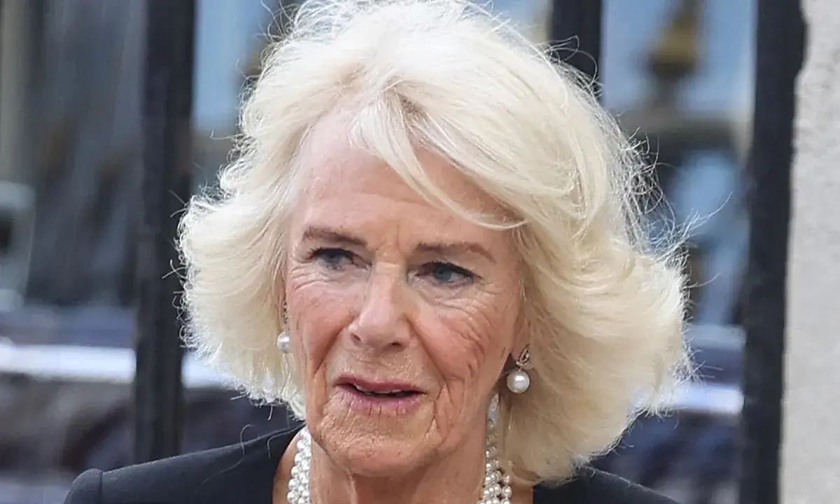King Charles’ queen, Camilla tests positive for COVID
