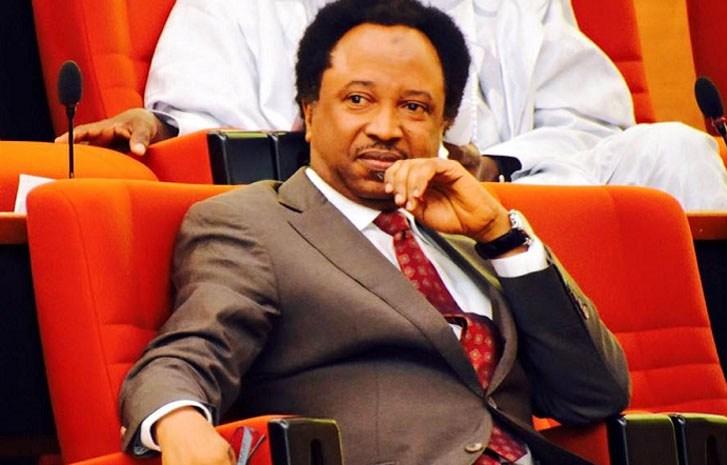 Kaduna guber results not expression of peoples’ will but APC, INEC – Sani
