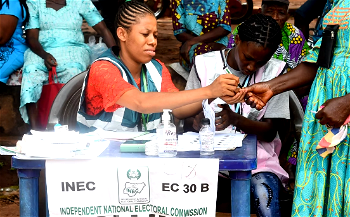 Elections: How to vote, confirm polling unit location