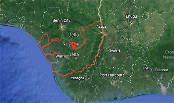 Delta guber: MEND backs APC, warns against mandate theft