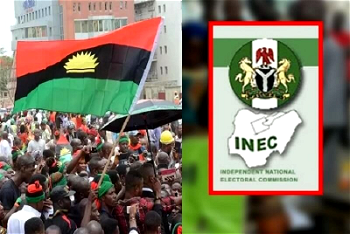 We’re not behind sit-at-home order to disrupt elections —IPoB