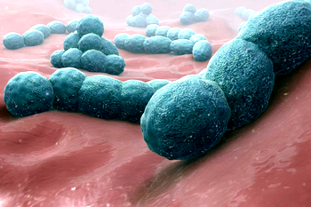 Suspected meningitis outbreak kills 38 in Jigawa