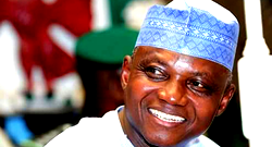 Those accusing Buhari of plotting interim govt, afraid of losing elections — Presidency