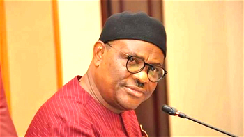 ENVIRONMENTAL THREAT: Wike, Cows and FCT
