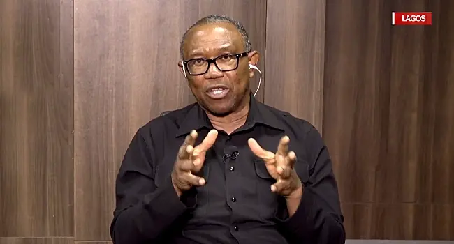 PEPC verdict: We must not lose hope, Peter Obi Mandate Group tells ...