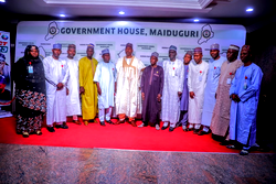 Verification: Zulum mulls pardon for erring workers&nbsp;