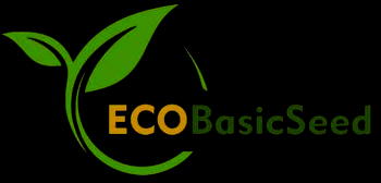 Quality Seeds Vital for Nigeria’s self-sufficiency in food production – ECOBasic 