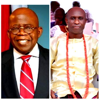 Polls: German base Nigerian endorses Tinubu