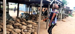 Cashless policy: Benue traders resort to trade by barter
