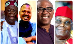 Poll: Peter Obi will defeat Tinubu not Atiku – Ossai