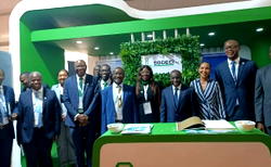 Nigeria far from achieving universal access to clean water – Utility expert