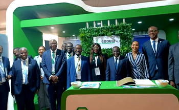 Nigeria far from achieving universal access to clean water – Utility expert