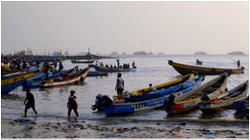 Beyond the Surface: Understanding Link between IUU fishing and human trafficking in Guinea’s marine ecosystem