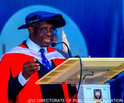 Nigeria’s constitution full of ambiguity – Don