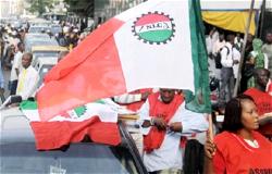 NLC planned action: NECA calls for social dialogue 
