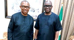 Don’t allow PDP ‘stain your white’, Fayose advises Peter Obi