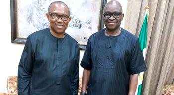 Don’t allow PDP ‘stain your white’, Fayose advises Peter Obi