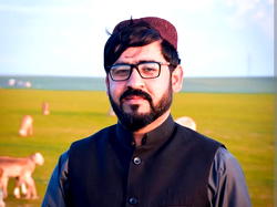 Taliban authorities arrest Afghanistan girls education activist 