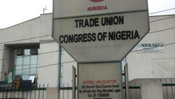 TUC boils as NEC sacks state councils