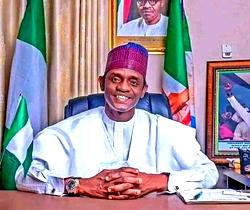 In Yobe, Gov Buni clears 8 LGs announced by INEC [See results]