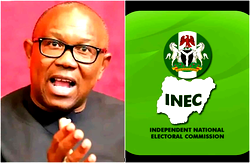 Peter Obi charges INEC to release Abia, Enugu Guber election results