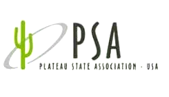 Elections: We have no preferred candidate, party – Plateau indigenes in Diaspora
