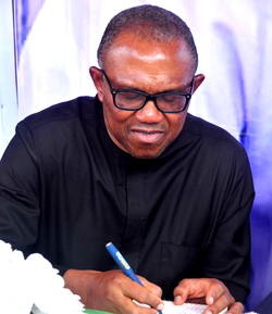Peter Obi bemoans deaths on guber election day