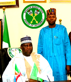 Borno Speaker re-elected fifth time, as APC in Guzamala LGA polls 18,339, PDP 181