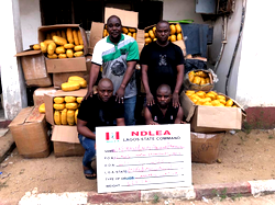 Photos: NDLEA sends 6 convicted drug traffickers to 156 years in jail