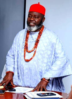 POLLS: How Ajuwa of Aboh Kingdom, others floored APC