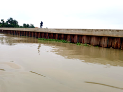 Flooding: FG tasks contractors on speedy completion of shoreline projects in Bayelsa