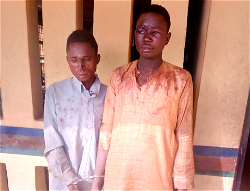 Ogun Police arrest two suspected kidnappers, rescue two victims