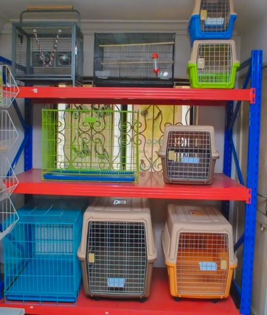 Get to know Africa’s best Pet supplies store